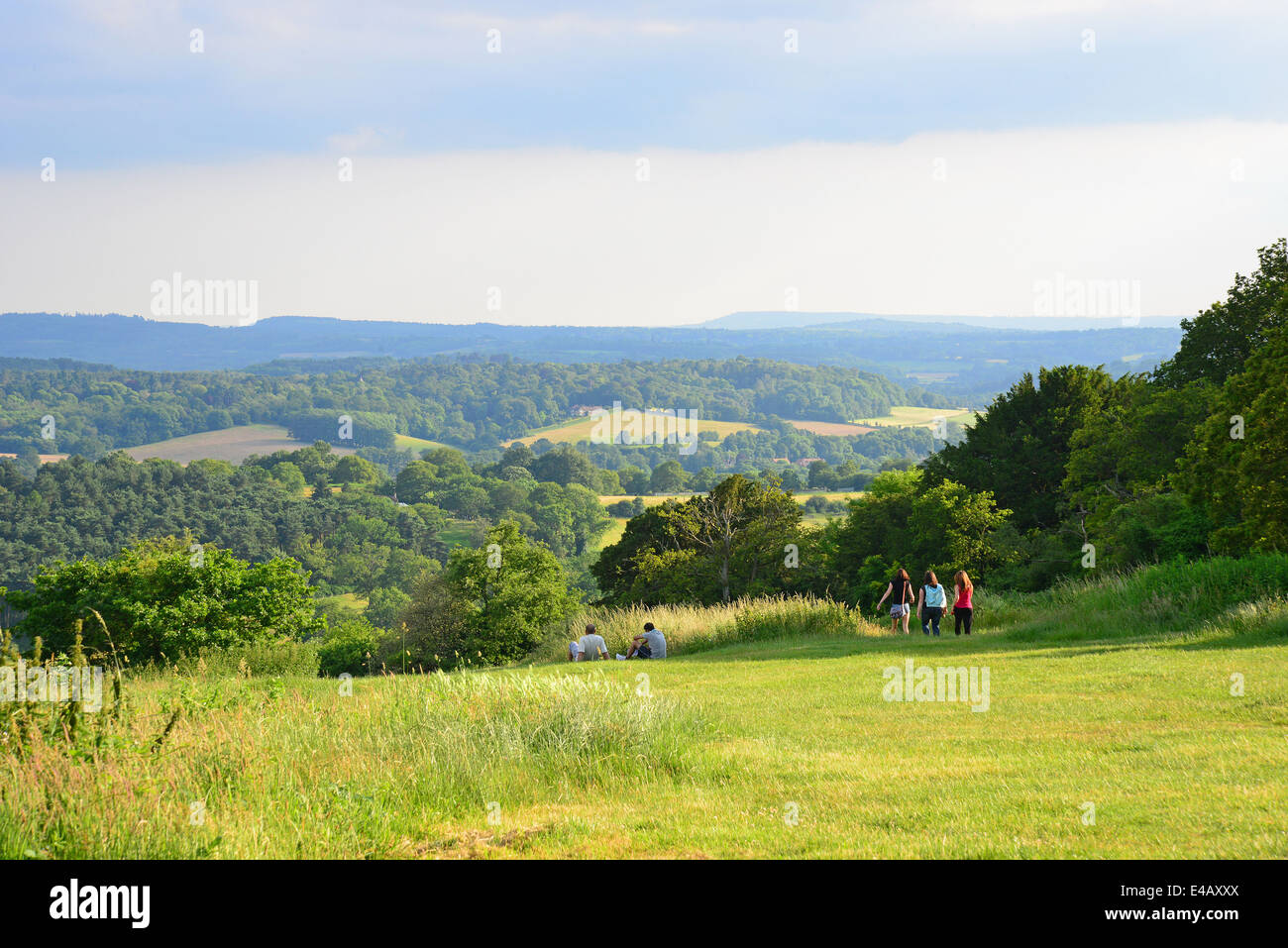 Newlands Corner natural beauty spot on Albury Downs, North Downs, near Guildford, Surrey, England, United Kingdom Stock Photo