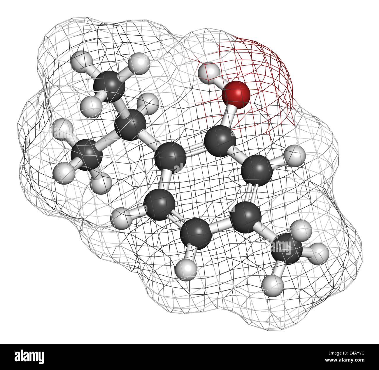 Thymol oil of thyme molecule. Present in kitchen herb Thymus vulgaris