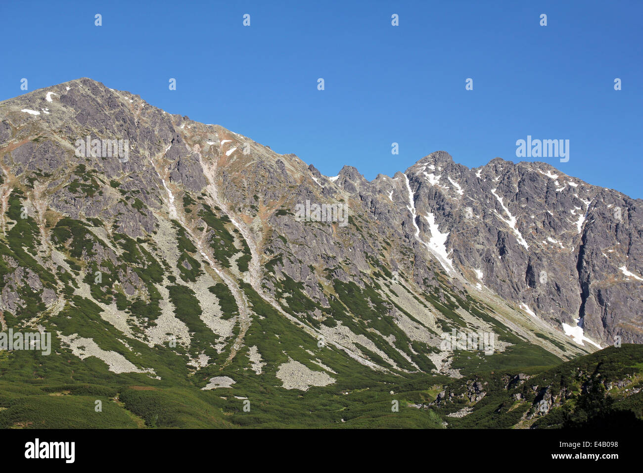 Sc Ree Sloipe Rocky mountain slope dwarf hi-res stock photography and images - Alamy