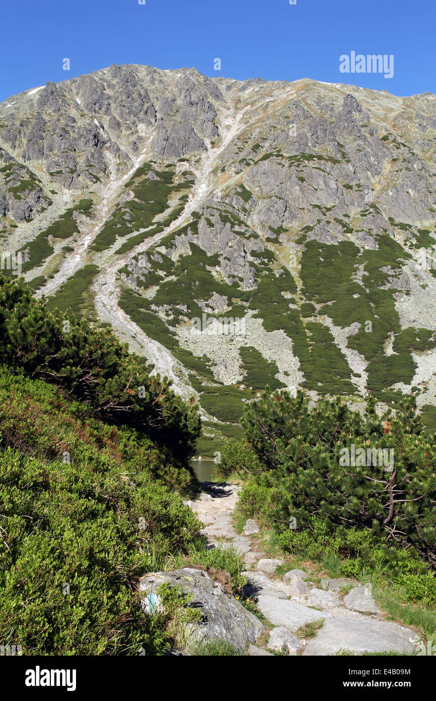 Sc Ree Sloipe Rocky mountain slope dwarf hi-res stock photography and images - Alamy