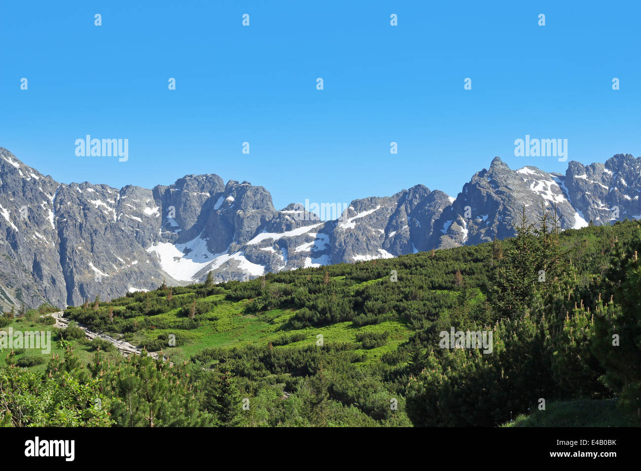 Sc Ree Sloipe Rocky mountain slope dwarf hi-res stock photography and images - Alamy