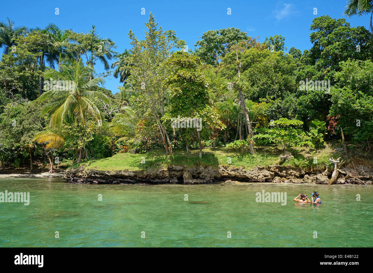 Two people snorkel in the sea and looking tropical shore with lush vegetation, Caribbean, Bocas del Toro, Panama Stock Photo