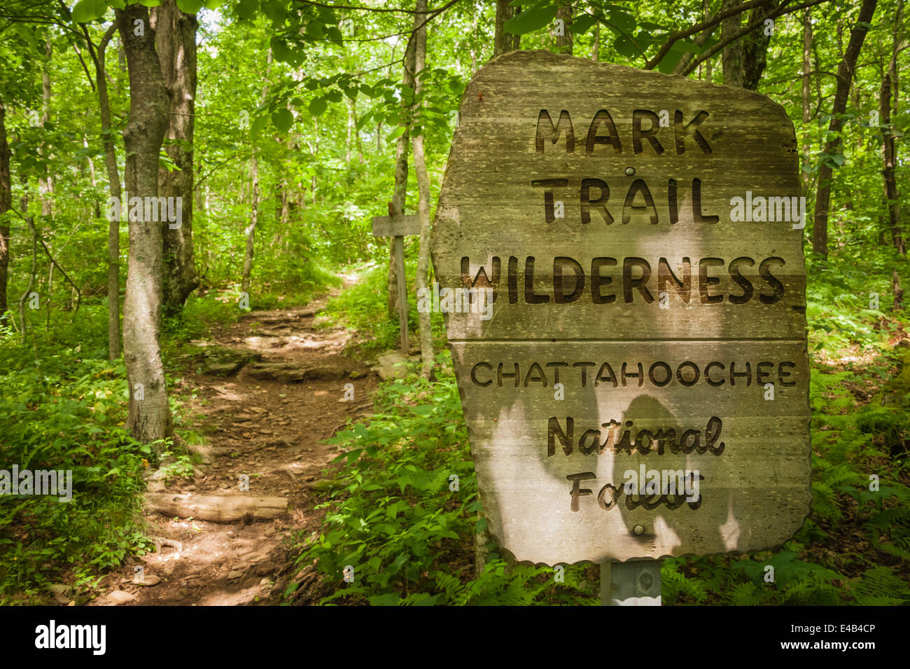 Mark Trail Wilderness sign on the Appalachian Trail at Hog Pen Gap in the Chattahoochee National Forest in North Georgia, USA. Stock Photo