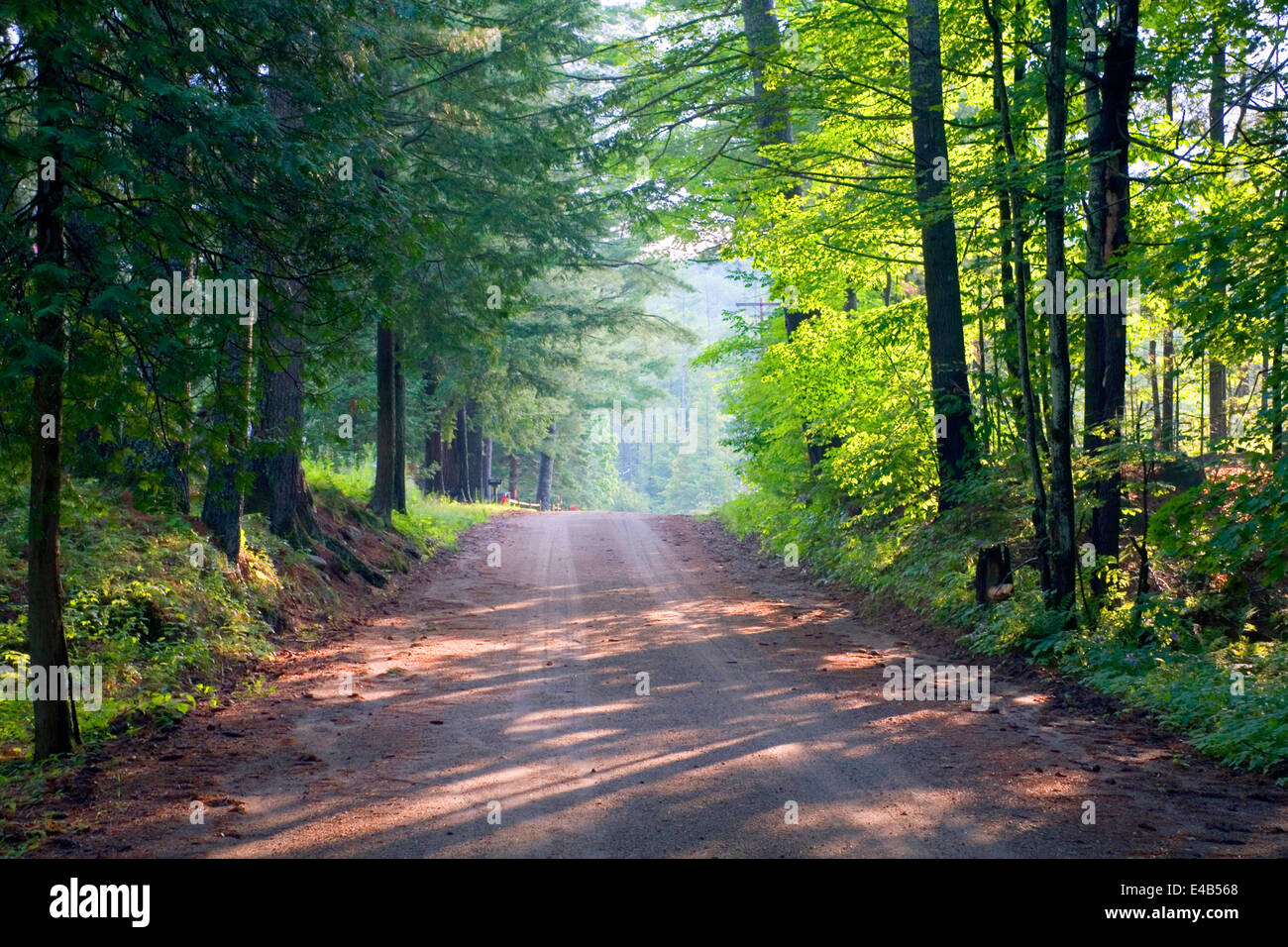 A wooded area and road near Lake New York, USA Stock Photo Alamy