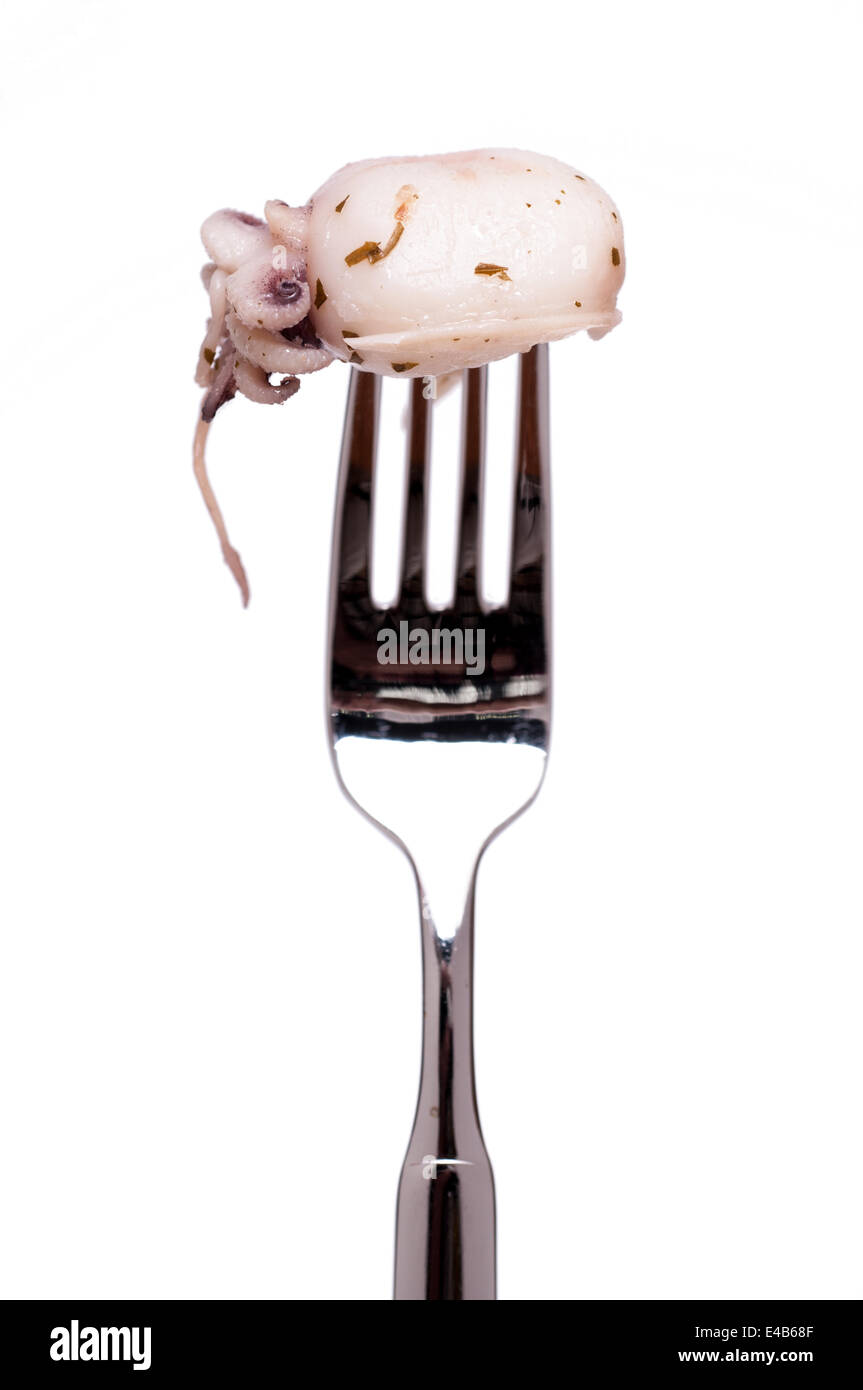 Fork with seafood squint Stock Photo Alamy