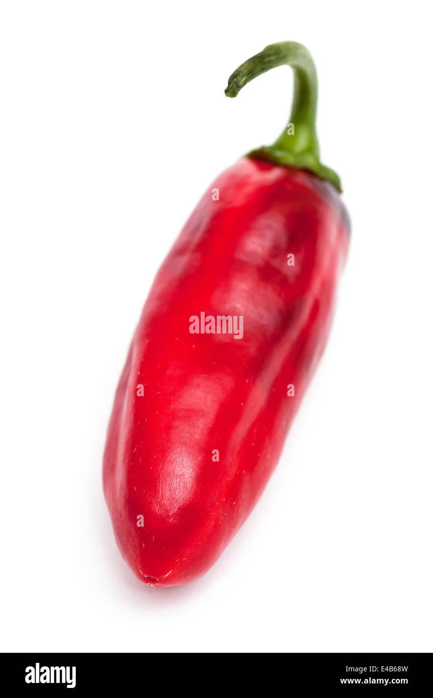 Red pepper on a white background Stock Photo - Alamy