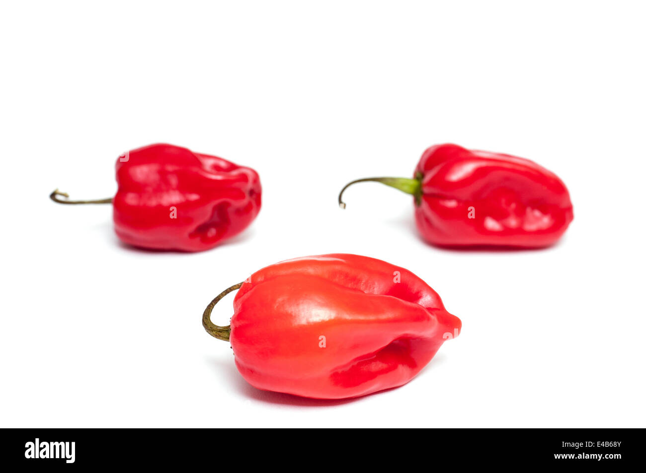 Three red chili peppers Stock Photo