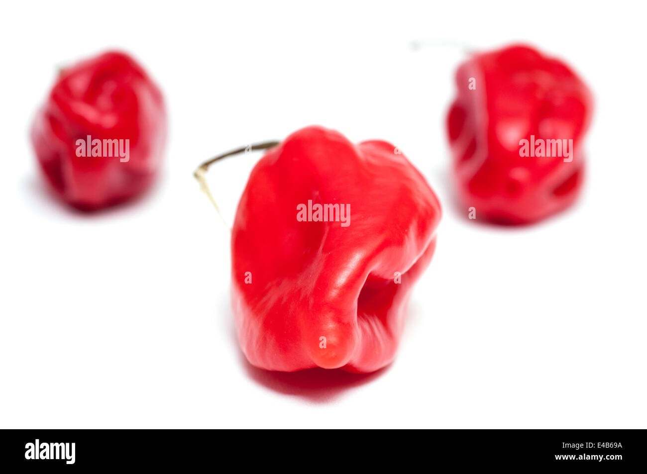 Three red hot habaneros chili peppers Stock Photo