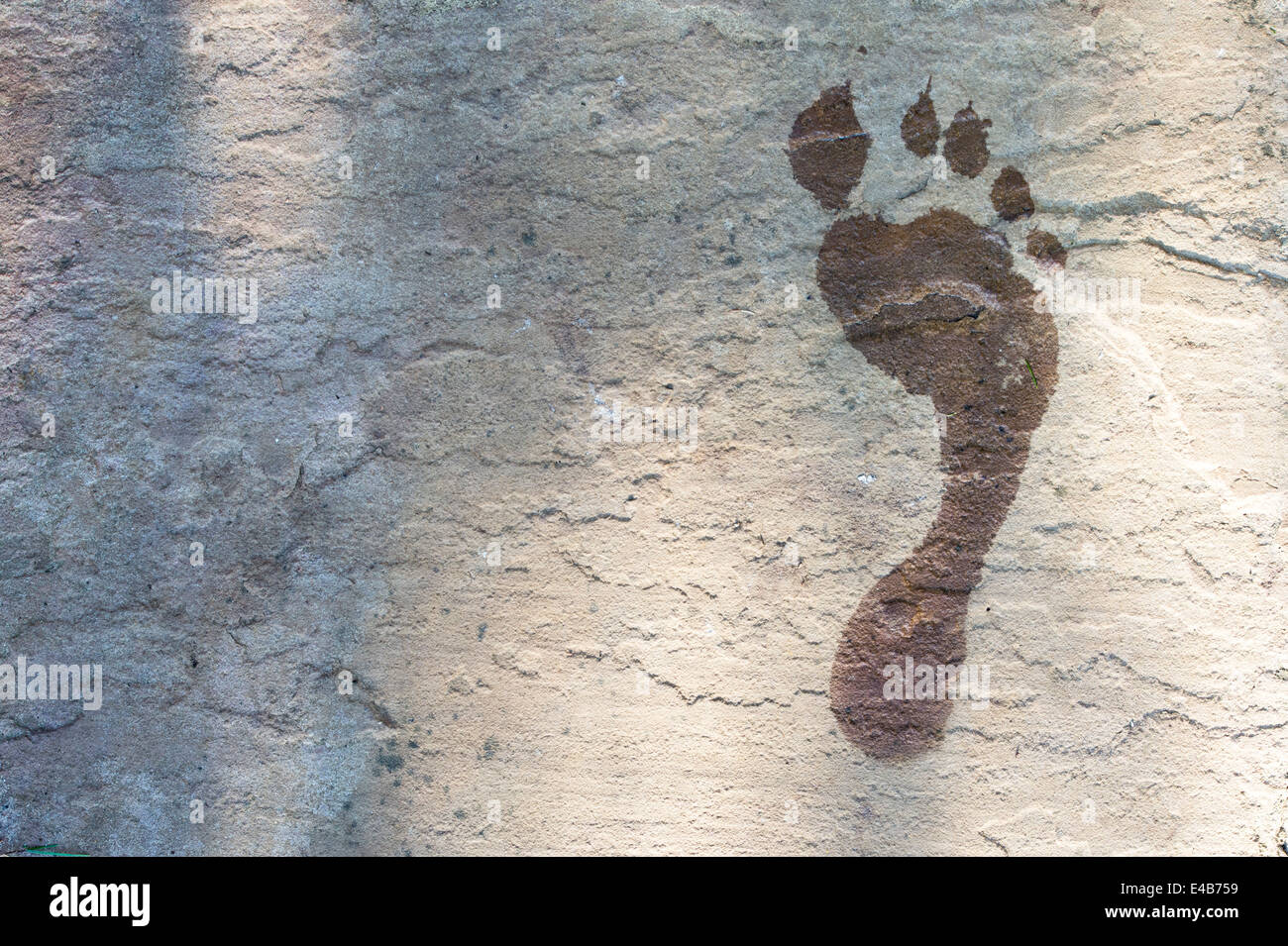 Wet footprint on a garden paving slab in the sunlight Stock Photo