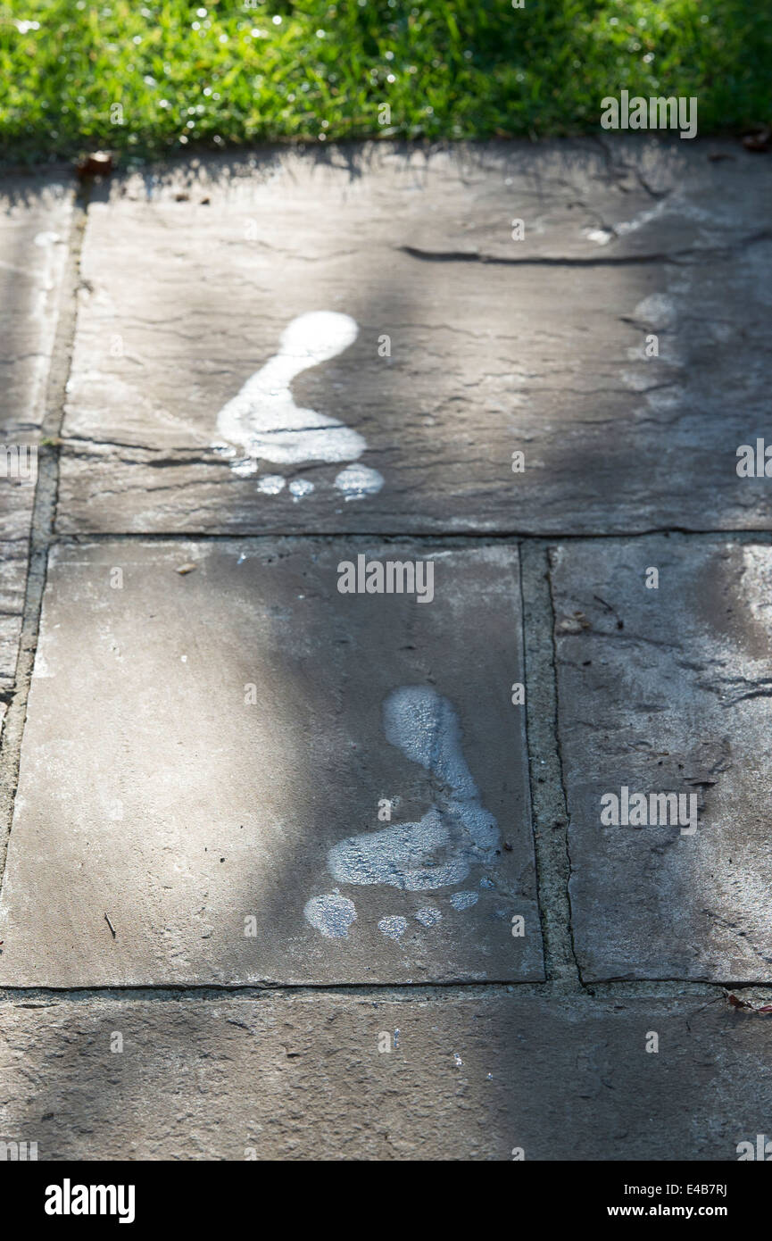 Wet footprints on a garden paving slab in the sunlight Stock Photo