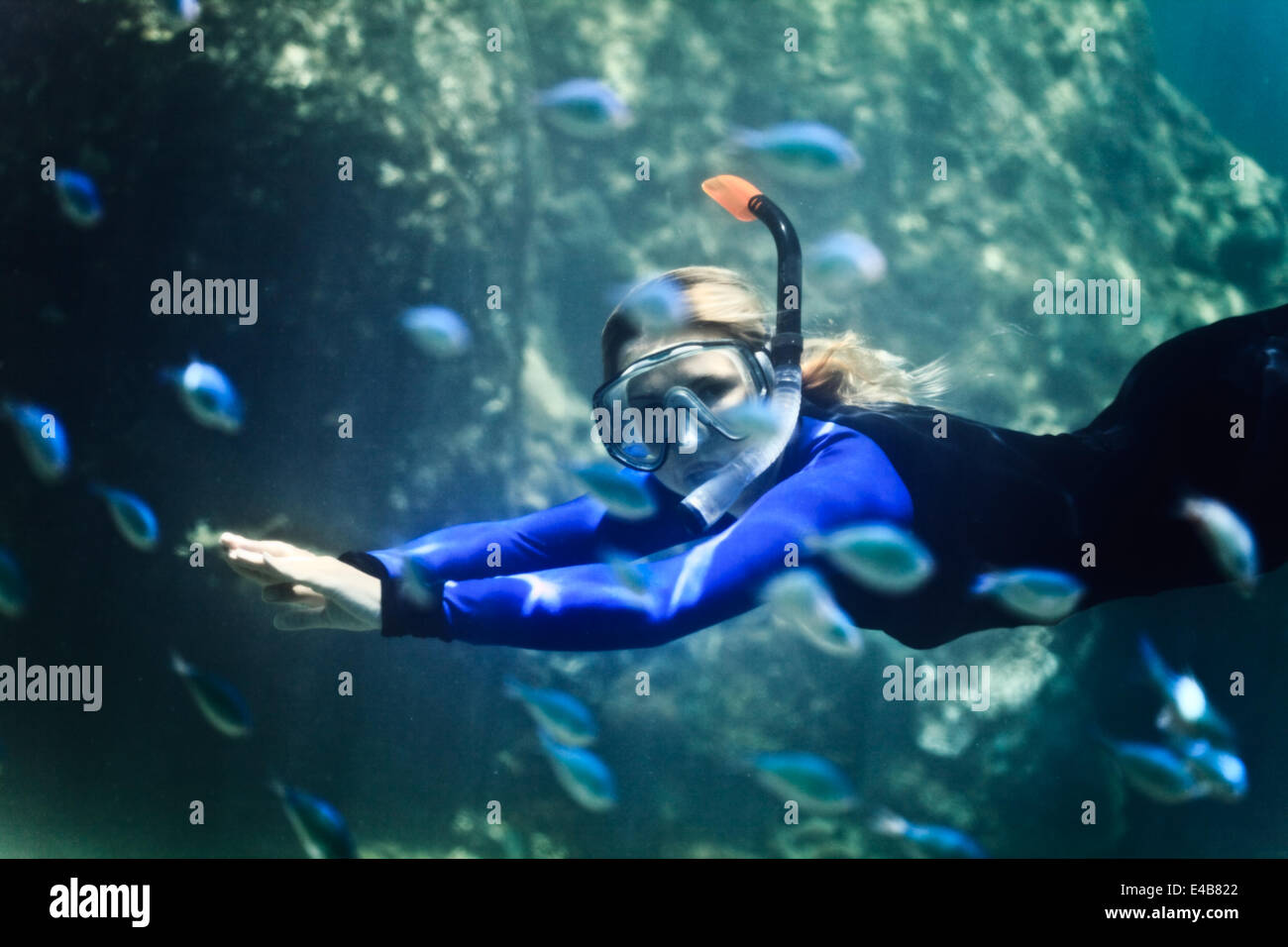 Snorkeler face hi-res stock photography and images - Alamy