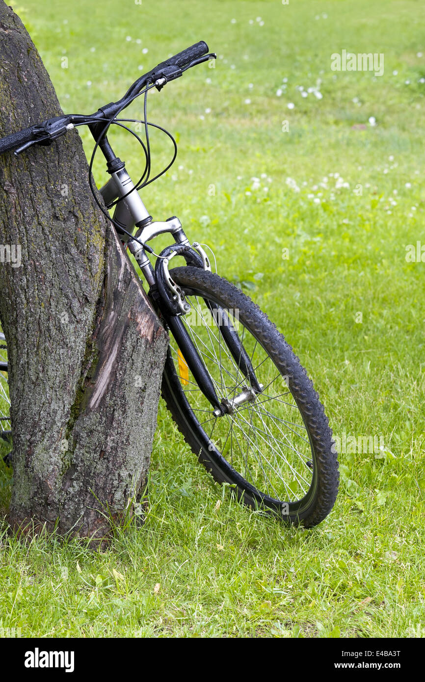 Bicycle Stock Photo