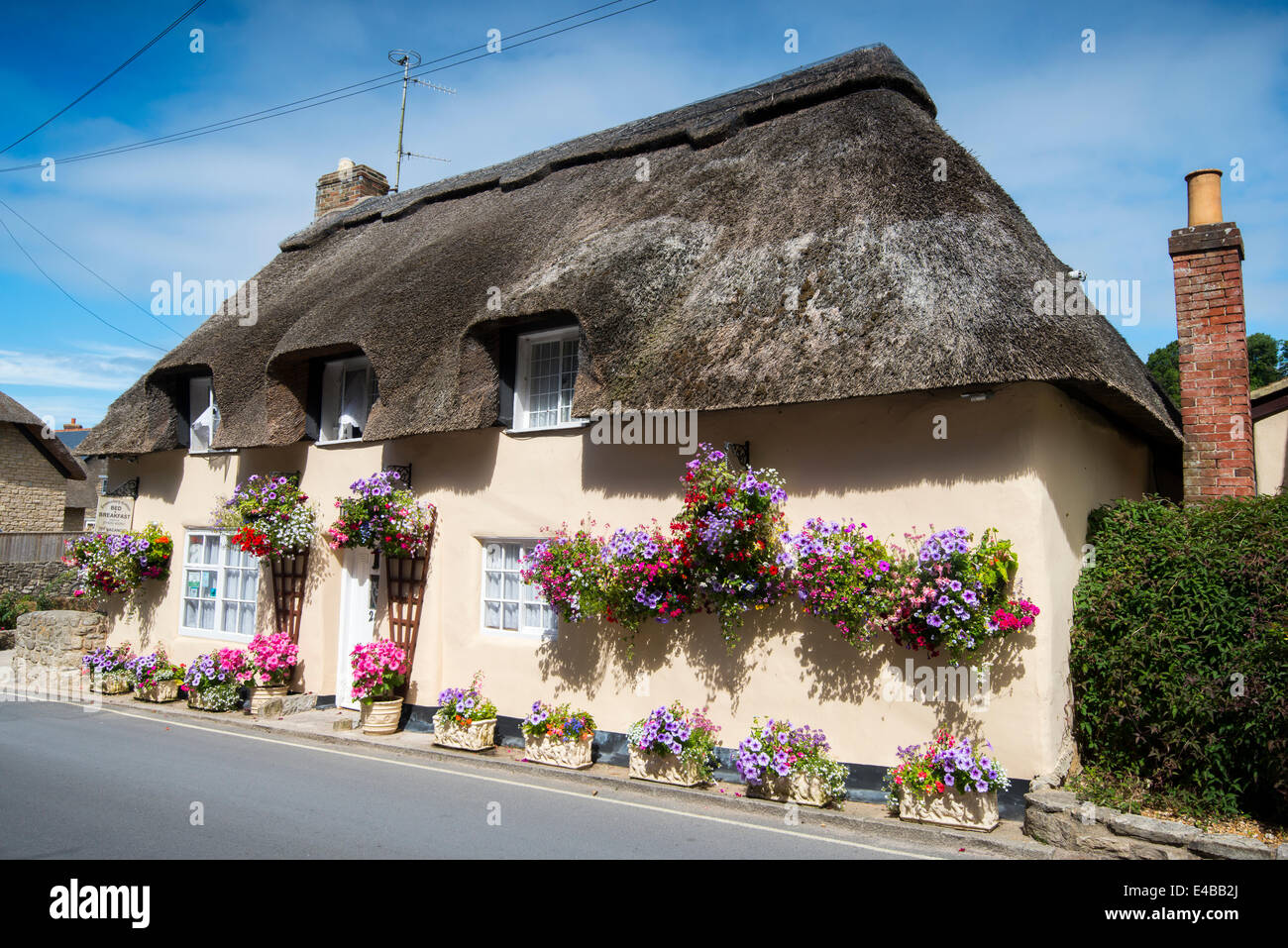 Thatched Cottages In The Village Of West Lulworth Dorset England