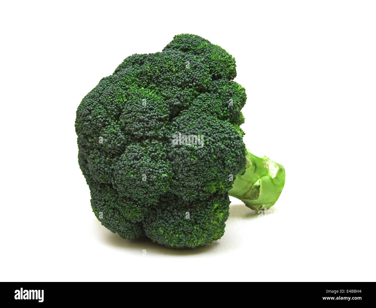 broccoli Stock Photo