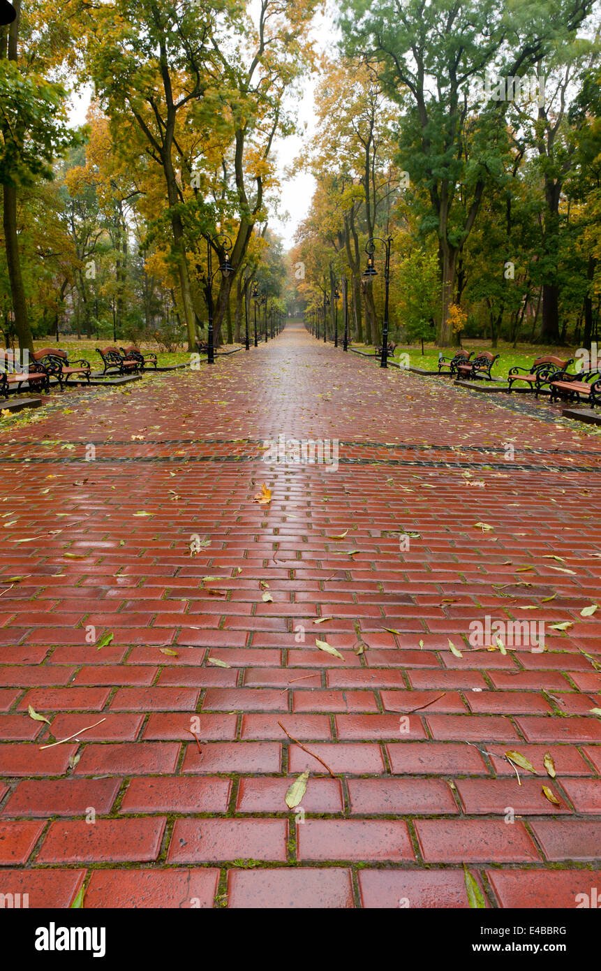 alleyway with paved road to autumn park Stock Photo - Alamy
