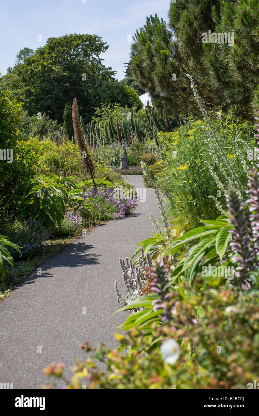 Ventnor Botanic Gardens Isle Of Wight Stock Photos & Ventnor Botanic