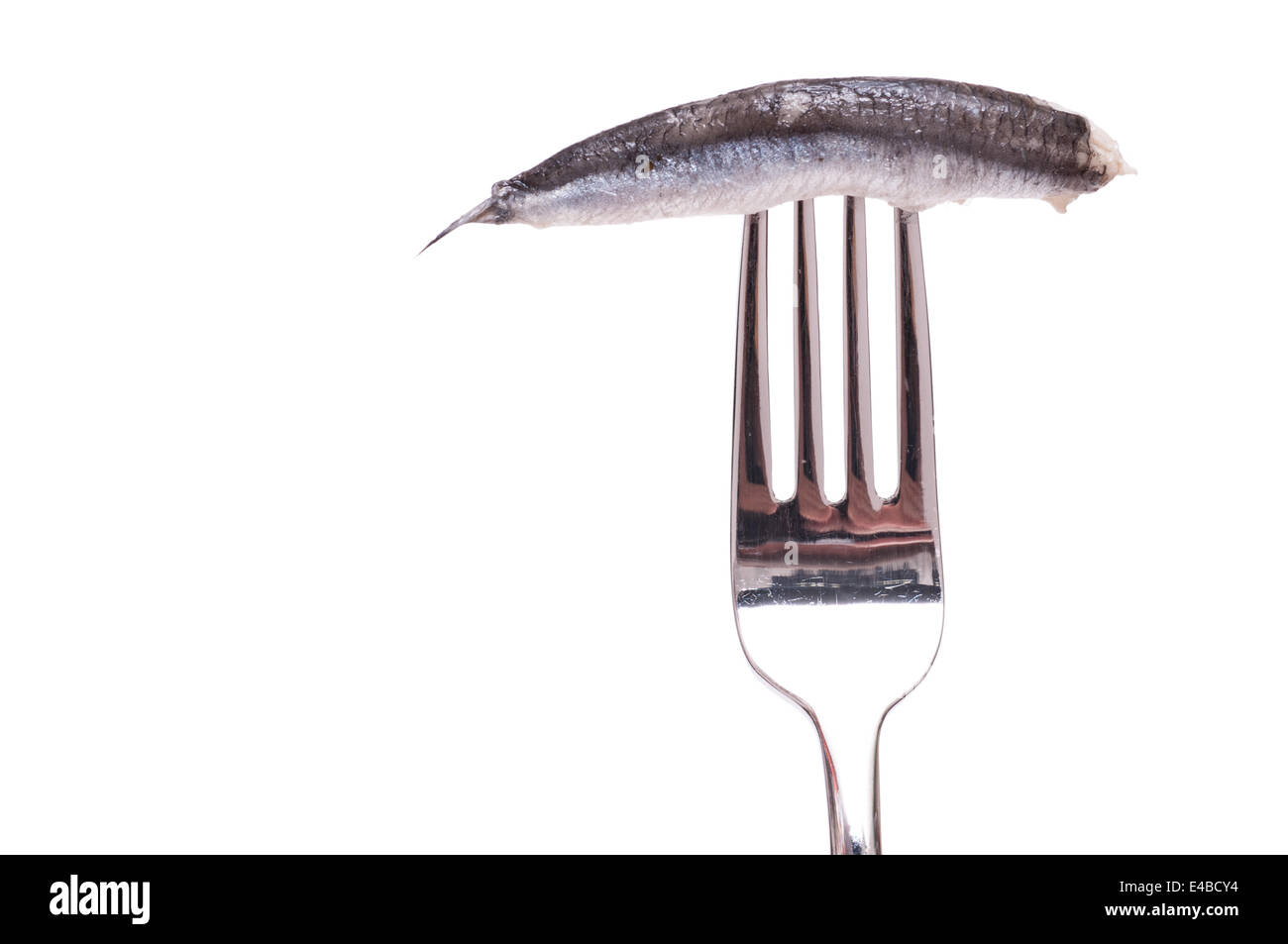 Fork with sardine Stock Photo Alamy