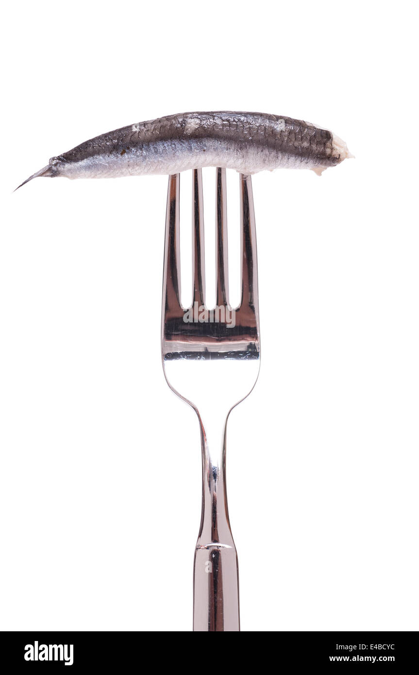 Fork with sardine Stock Photo Alamy