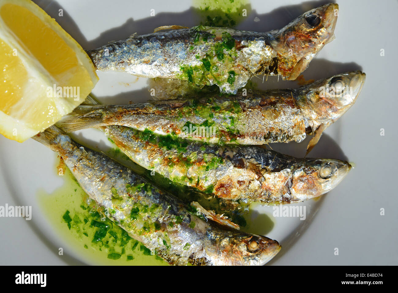Freshly grilled sardines on plate, Calpe (Calp), Costa Blanca, Alicante Province, Kingdom of Spain Stock Photo