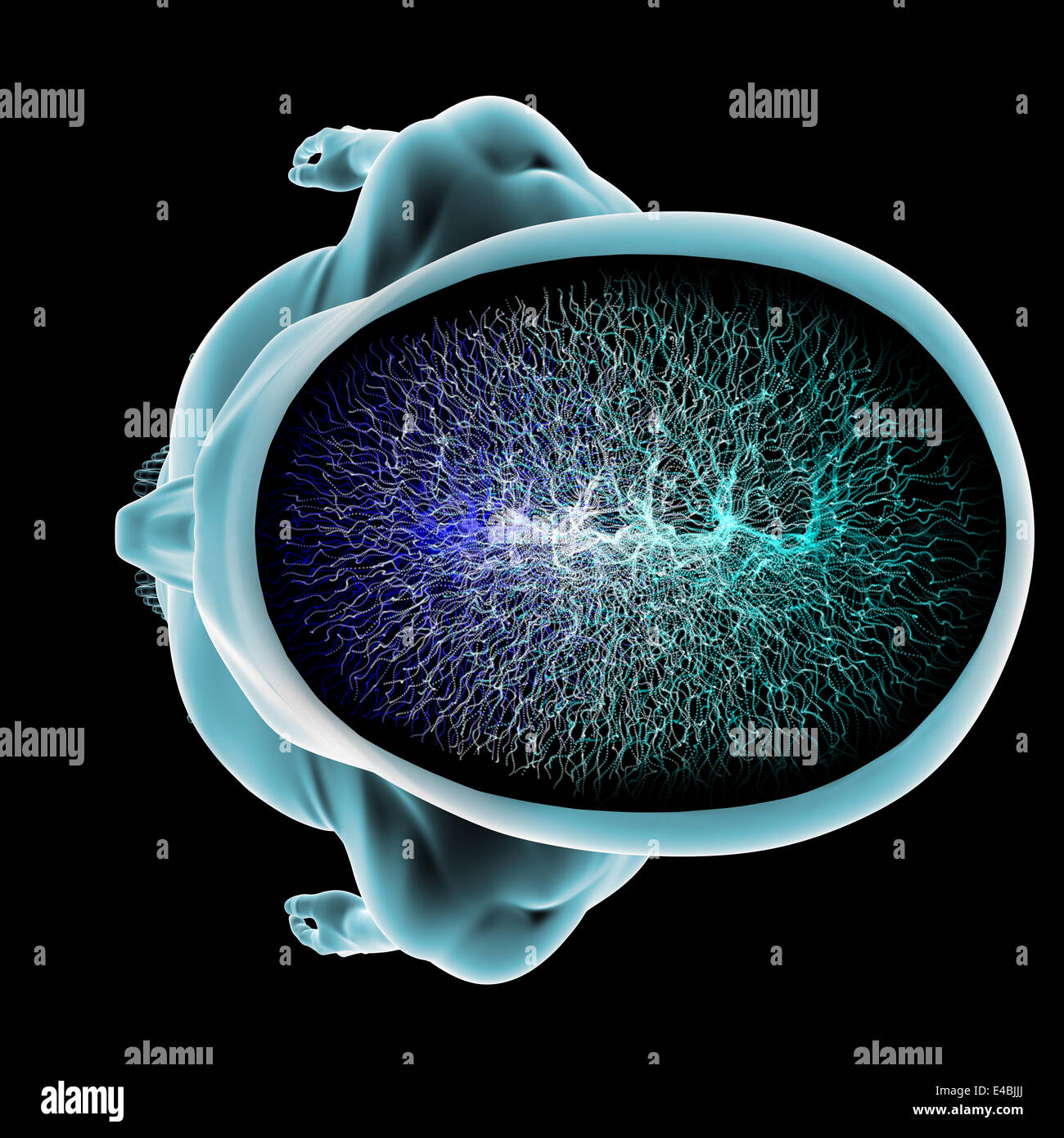 Neurons synapse function body brain section Stock Photo