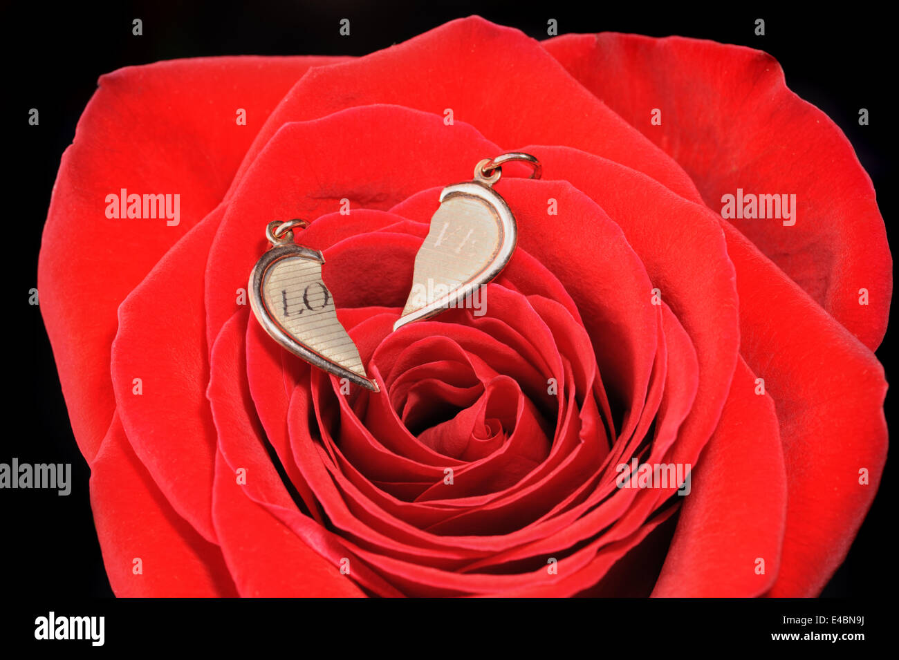 Broken heart rose petals hi-res stock photography and images - Alamy