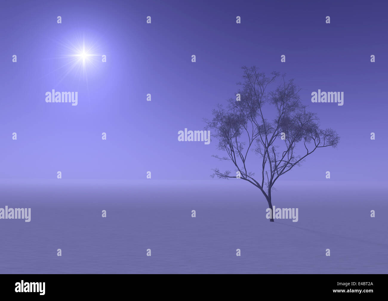 snow-bound trees in a park and sunset Stock Photo - Alamy