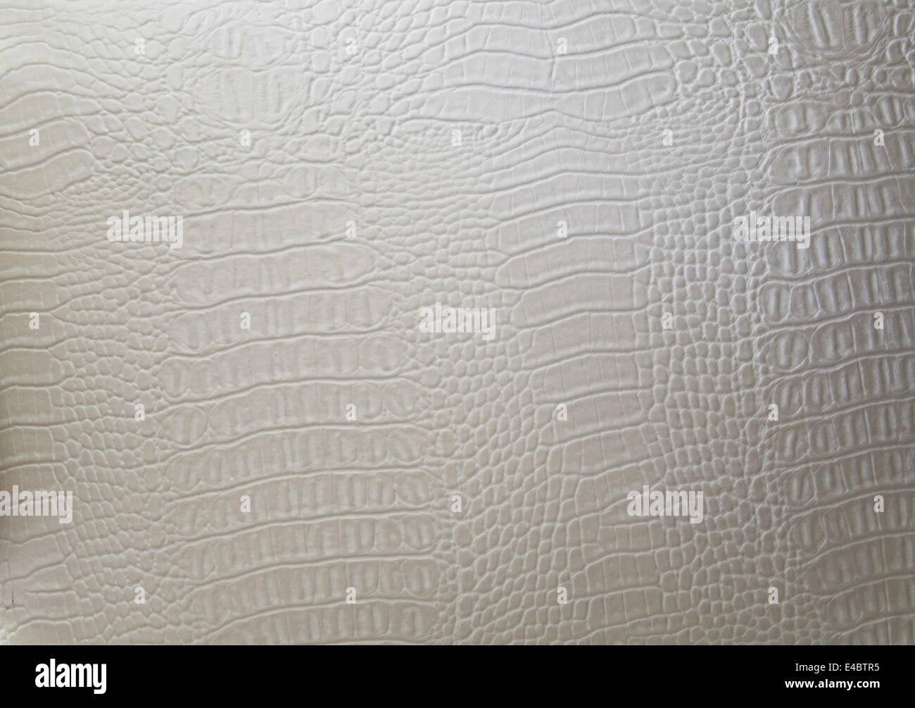 texture of a genuine luxury white hide Stock Photo