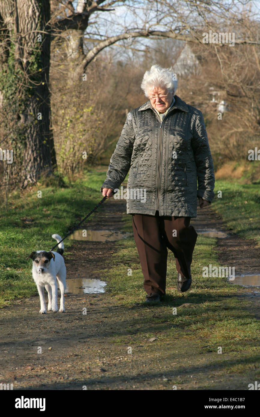 sb walk the dog