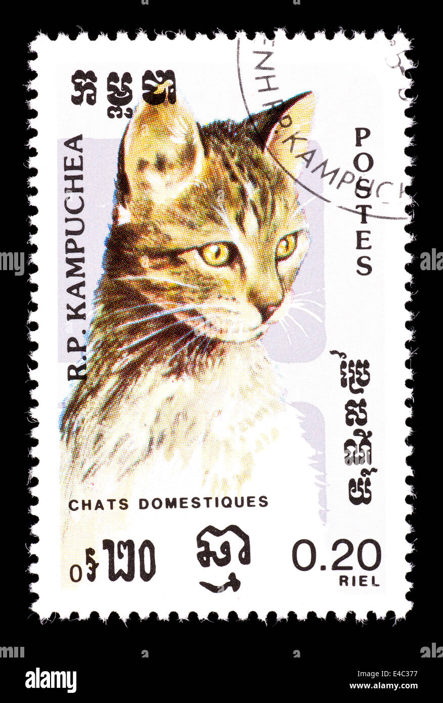 Postage stamp from Cambodia (Kampuchea) depicting a domesticated cat. Stock Photo