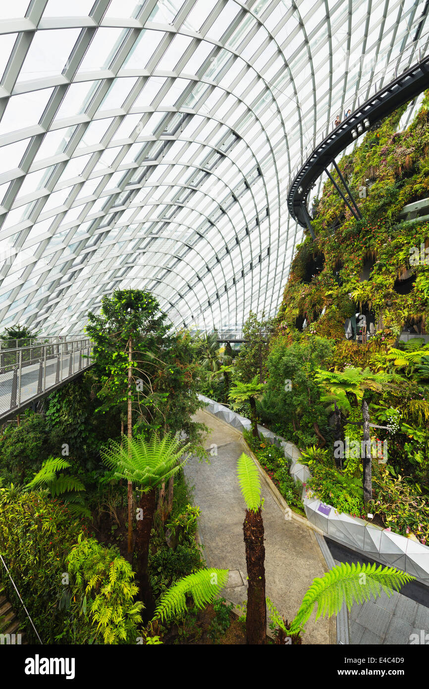 South East Asia Singapore Gardens By The Bay Cloud Forest