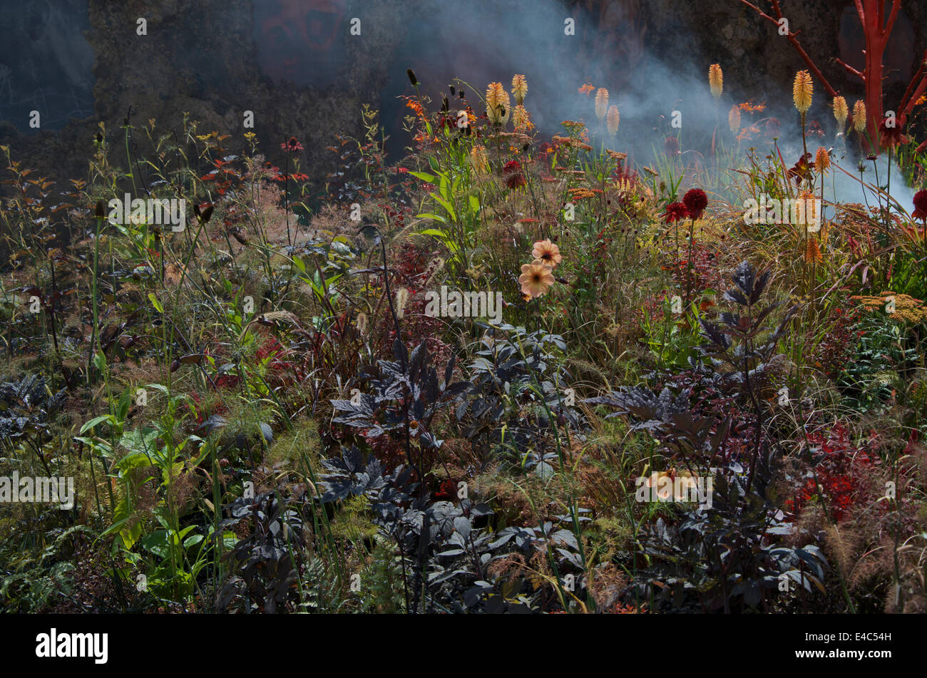 Gold medal winning Conceptual Garden, Wrath - Eruption of Unhealed ...