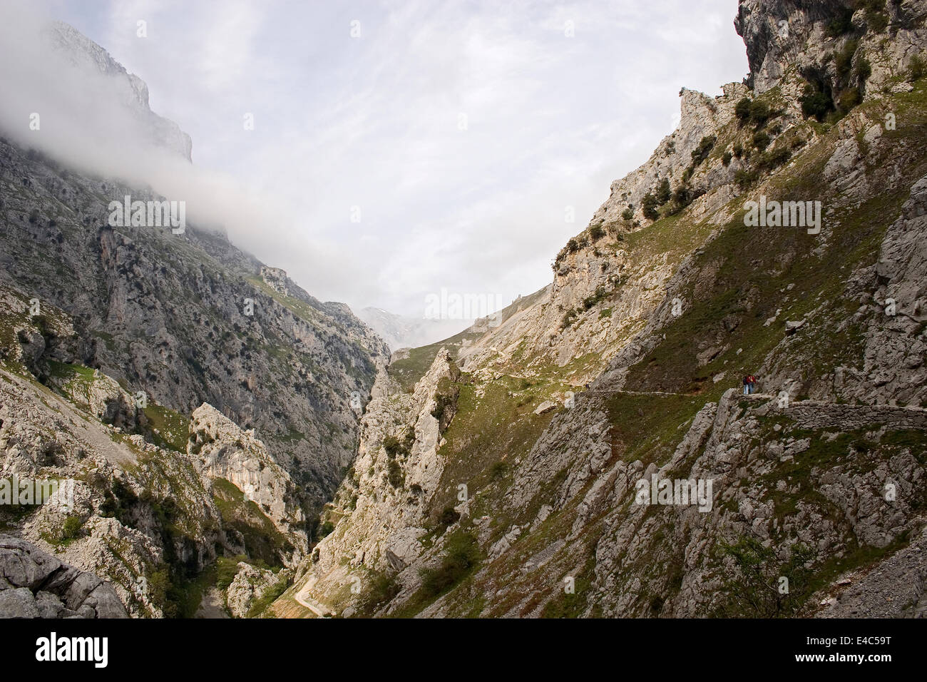 Cares river gorge, Picos de Europa mountain, Cantabria and Asturias province, Spain Stock Photo
