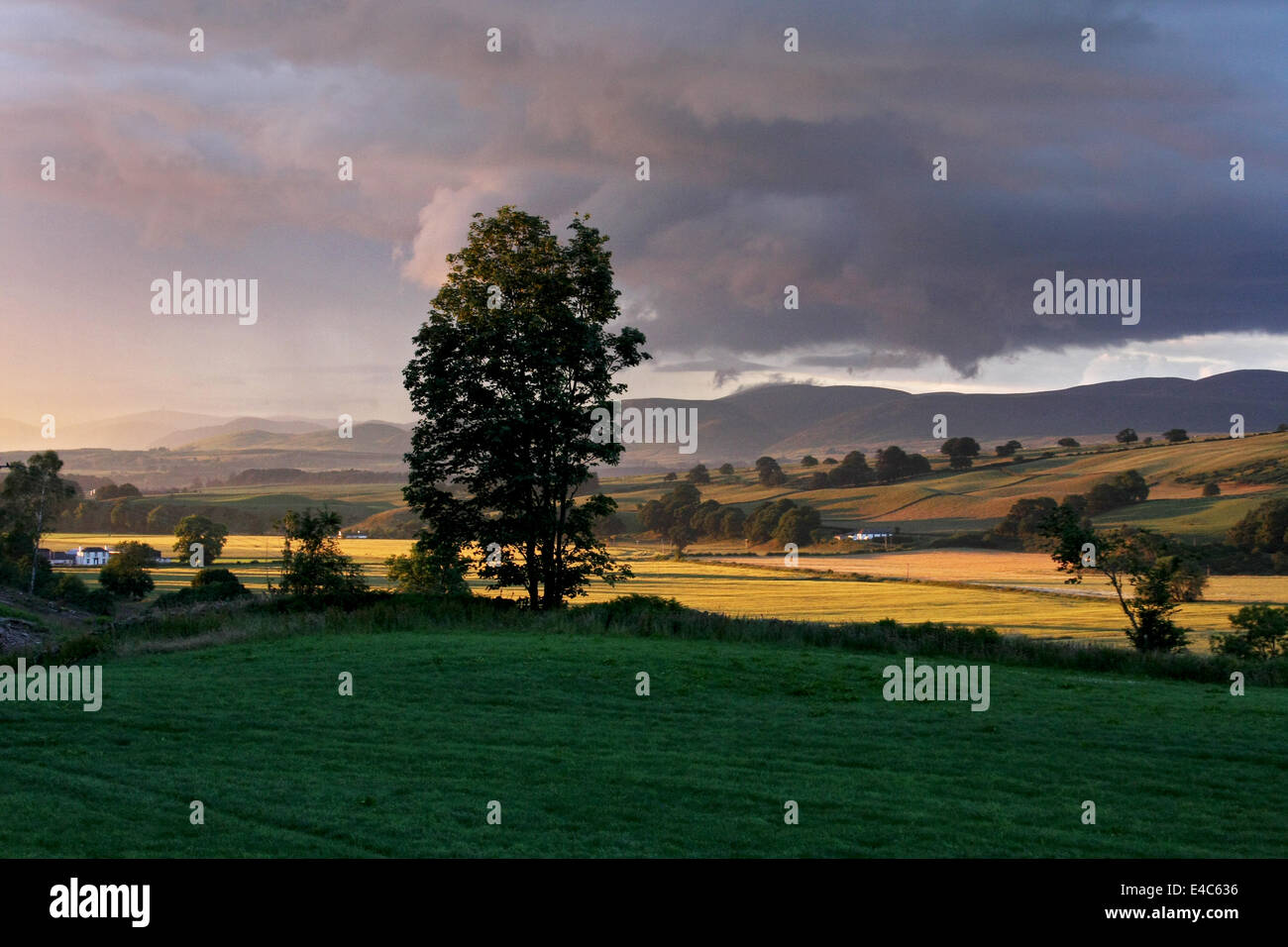 Nithsdale, Dumfries and Galloway, UK. 7th July, 2014.  Sunset over the Lowther Hills above Nithsdale in Dumfries and Galloway after a heavy shower. Picture: Ric Mellis 7/7/2014 Nithsdale, Dumfries and Galloway, UK Credit:  Ric Mellis/Alamy Live News Stock Photo