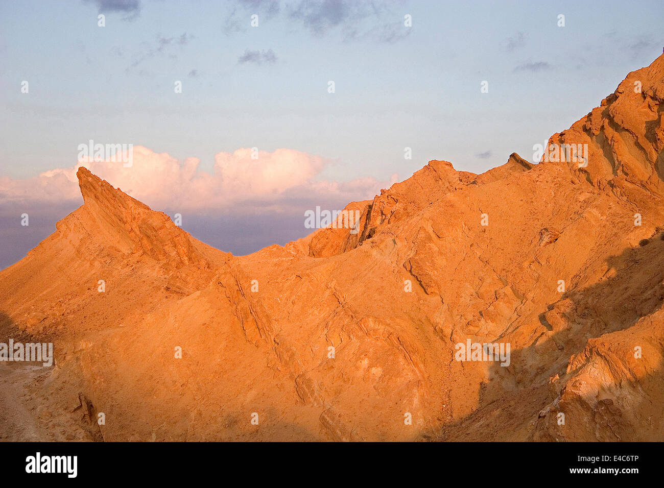 Chebika Oasis, Tozeur, Tunisia Stock Photo - Alamy