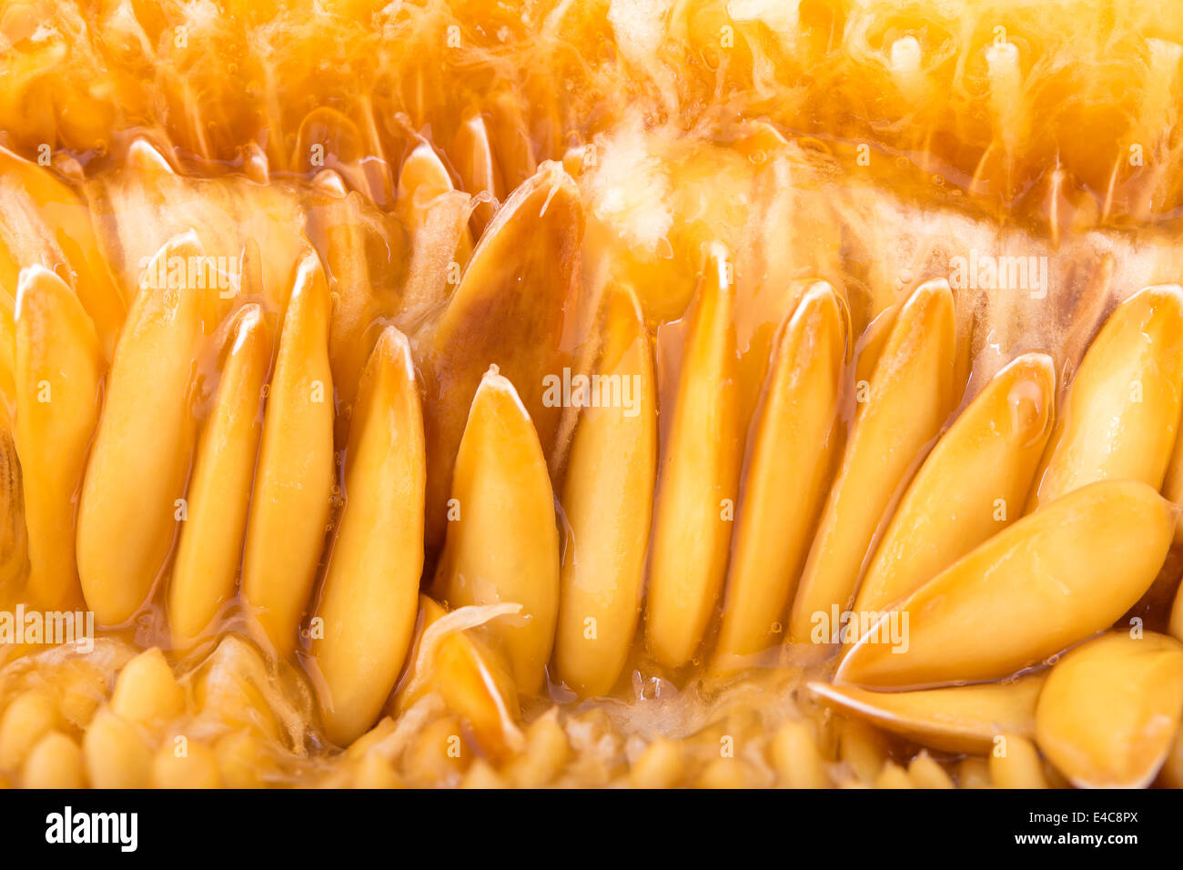 Yellow melon seeds closeup Stock Photo Alamy