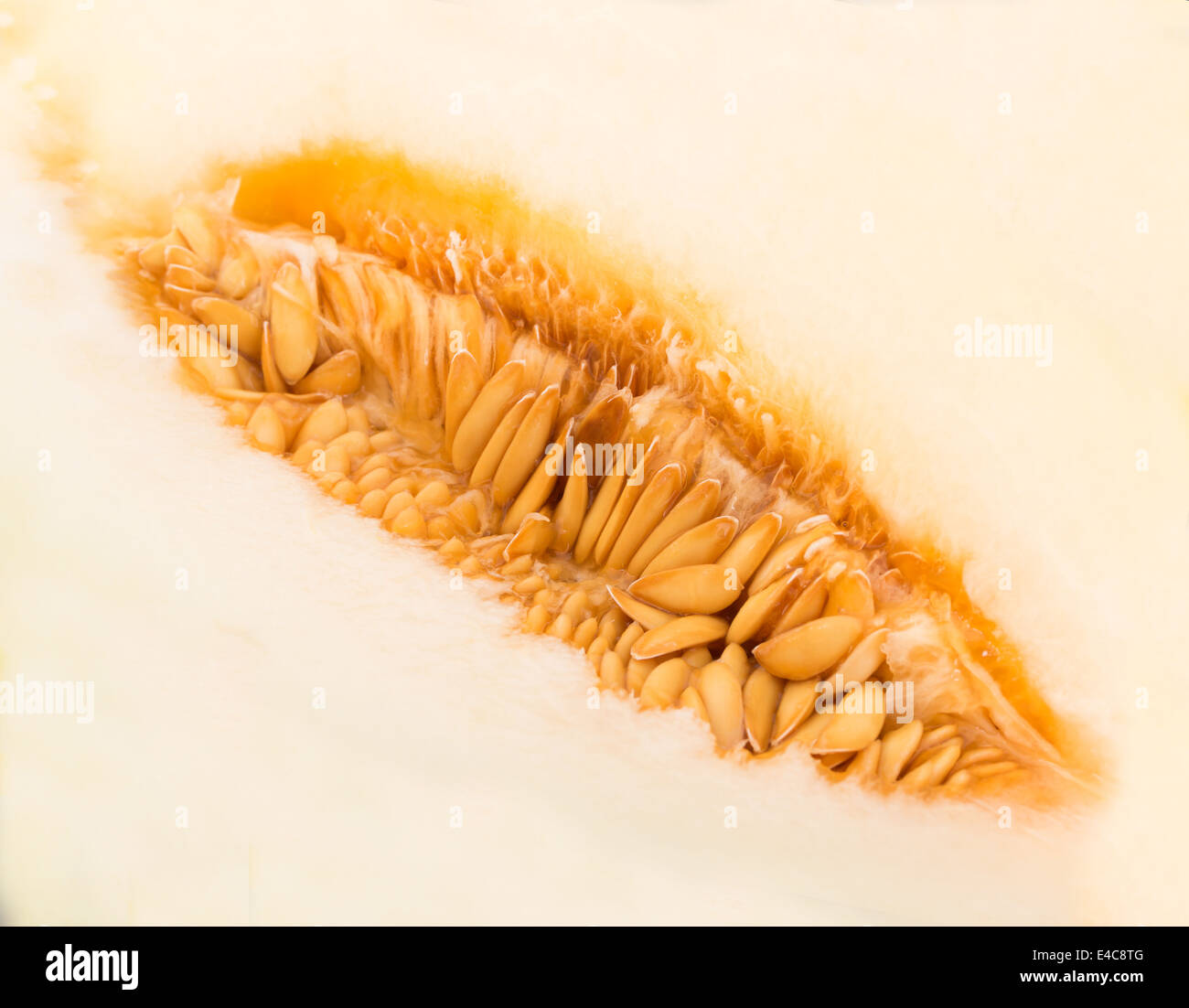 Yellow melon seeds closeup Stock Photo Alamy