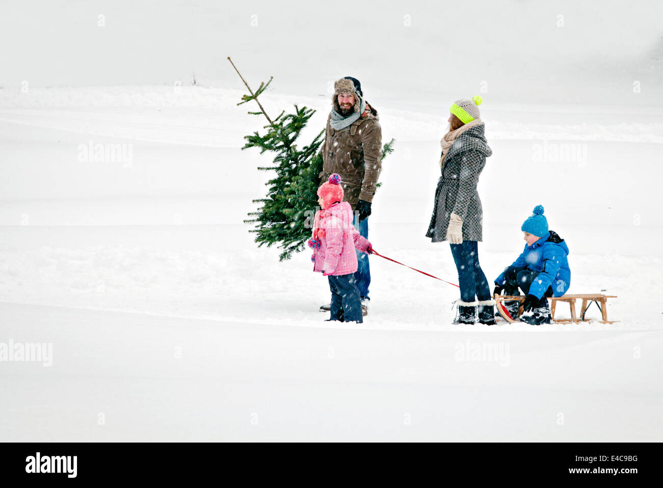 Family with two children carries Christmas tree in snow-covered landscape, Bavaria, Germany Stock Photo