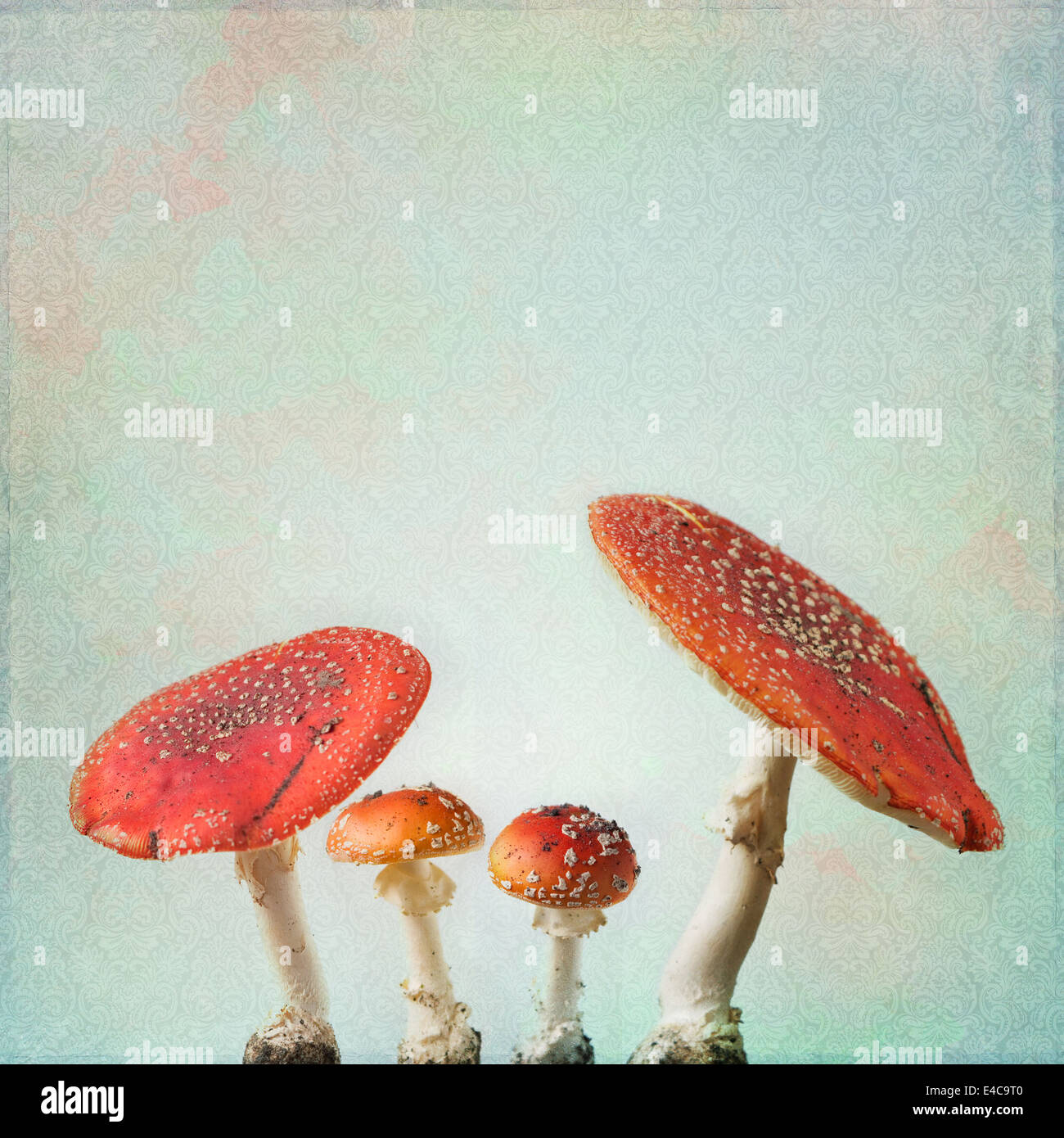 Vintage background with fly agaric Stock Photo