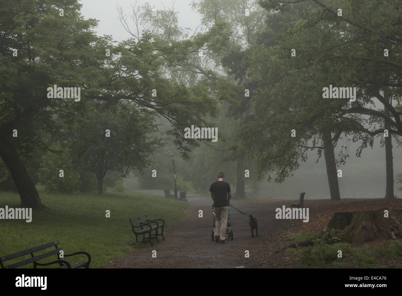 Dad  pushes his baby in a stroller with dog at his side in the early morning. Prospect Park, Brooklyn, NY. Stock Photo