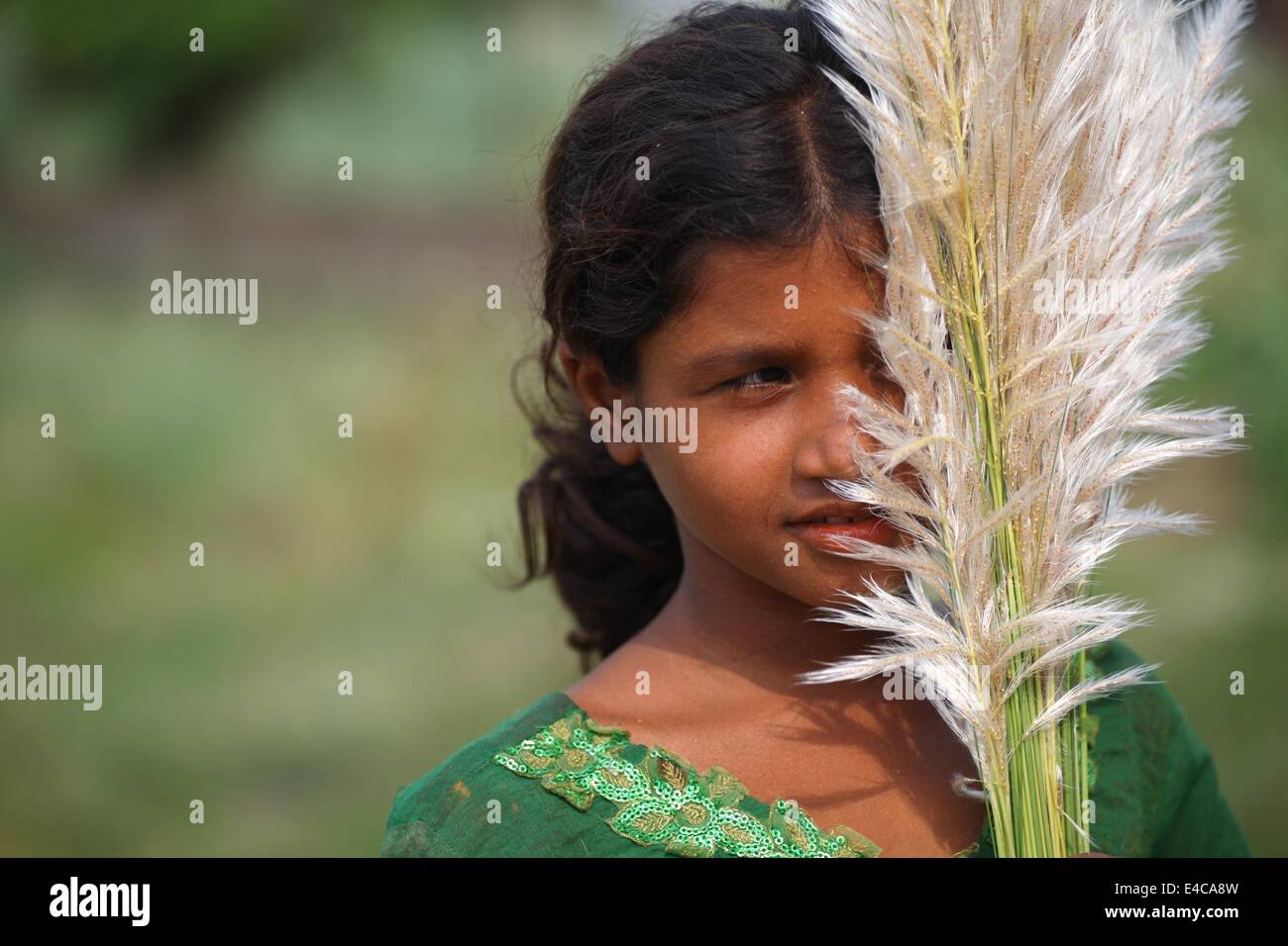 A girl with kash/catkin flower Stock Photo