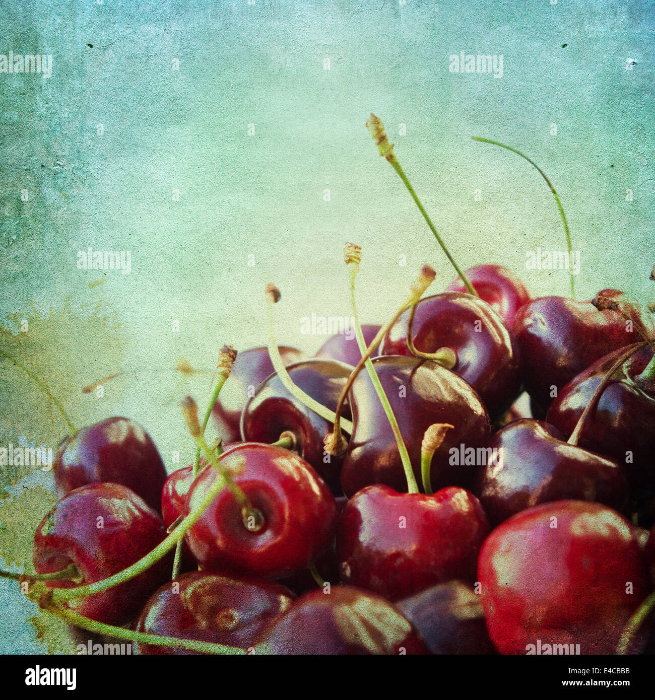 Vintage background with cherries Stock Photo