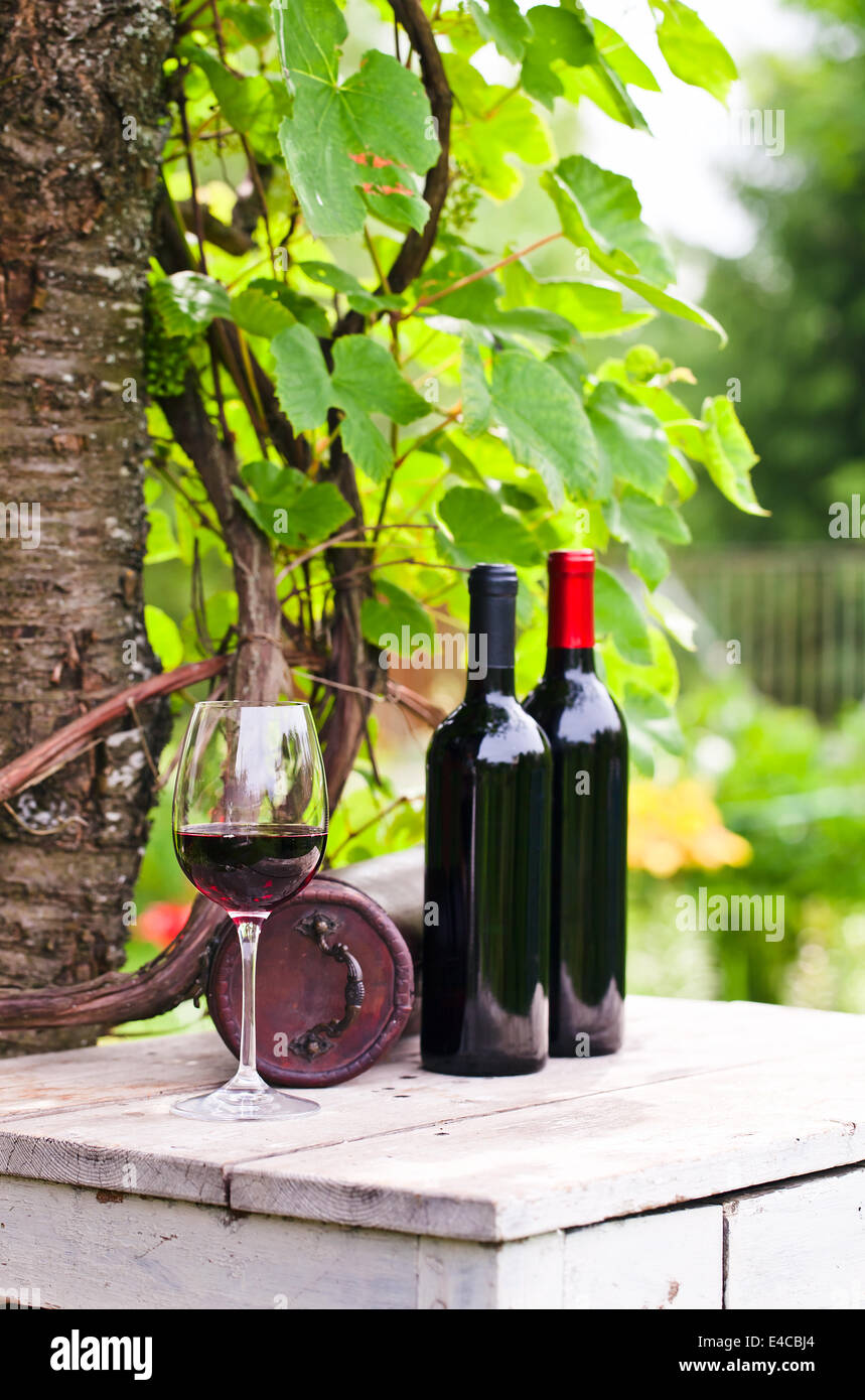 bottles and glass with red wine in vineyard Stock Photo - Alamy