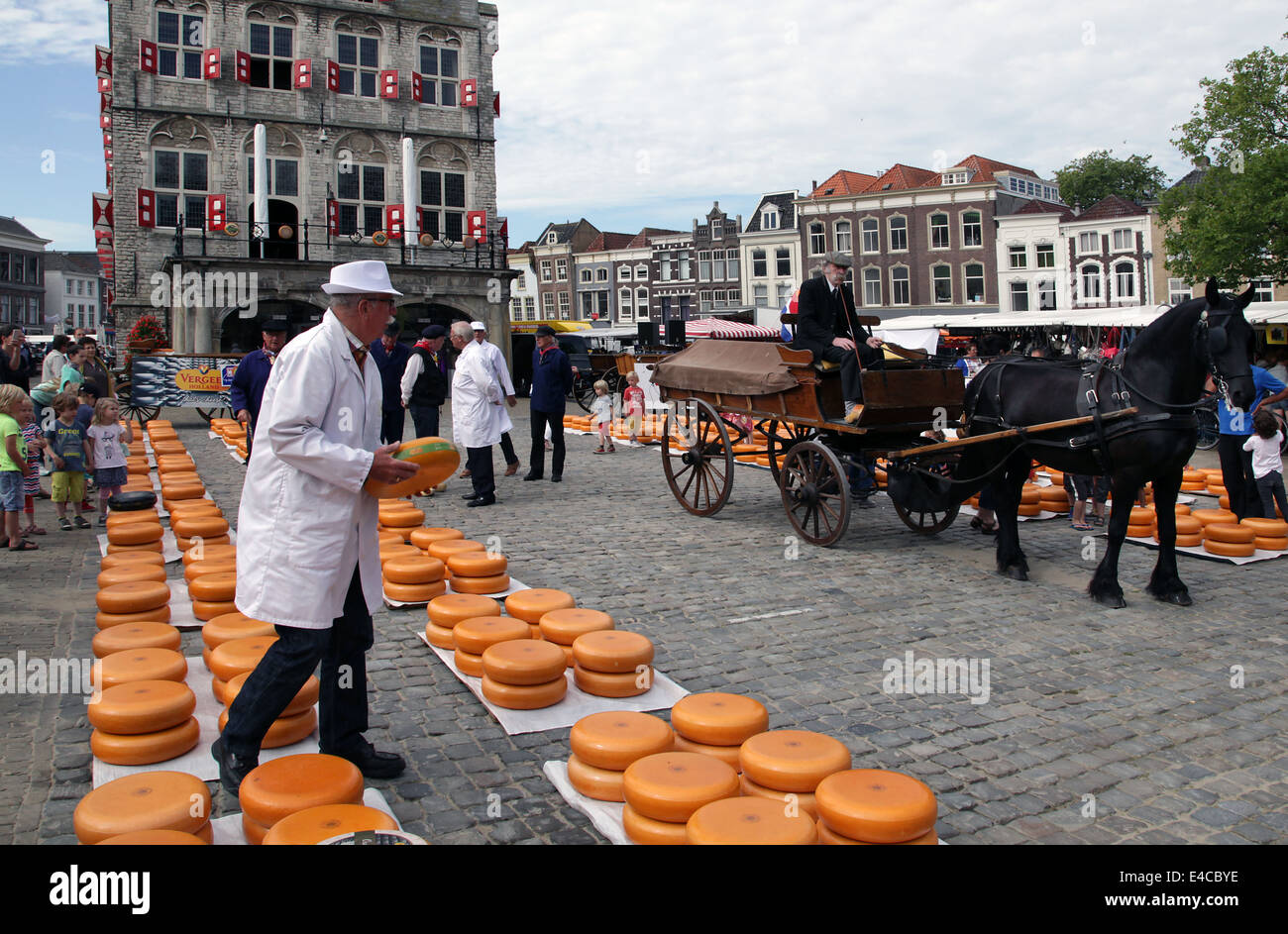 Gouda Cheese.Cheese Cheese.Tourism