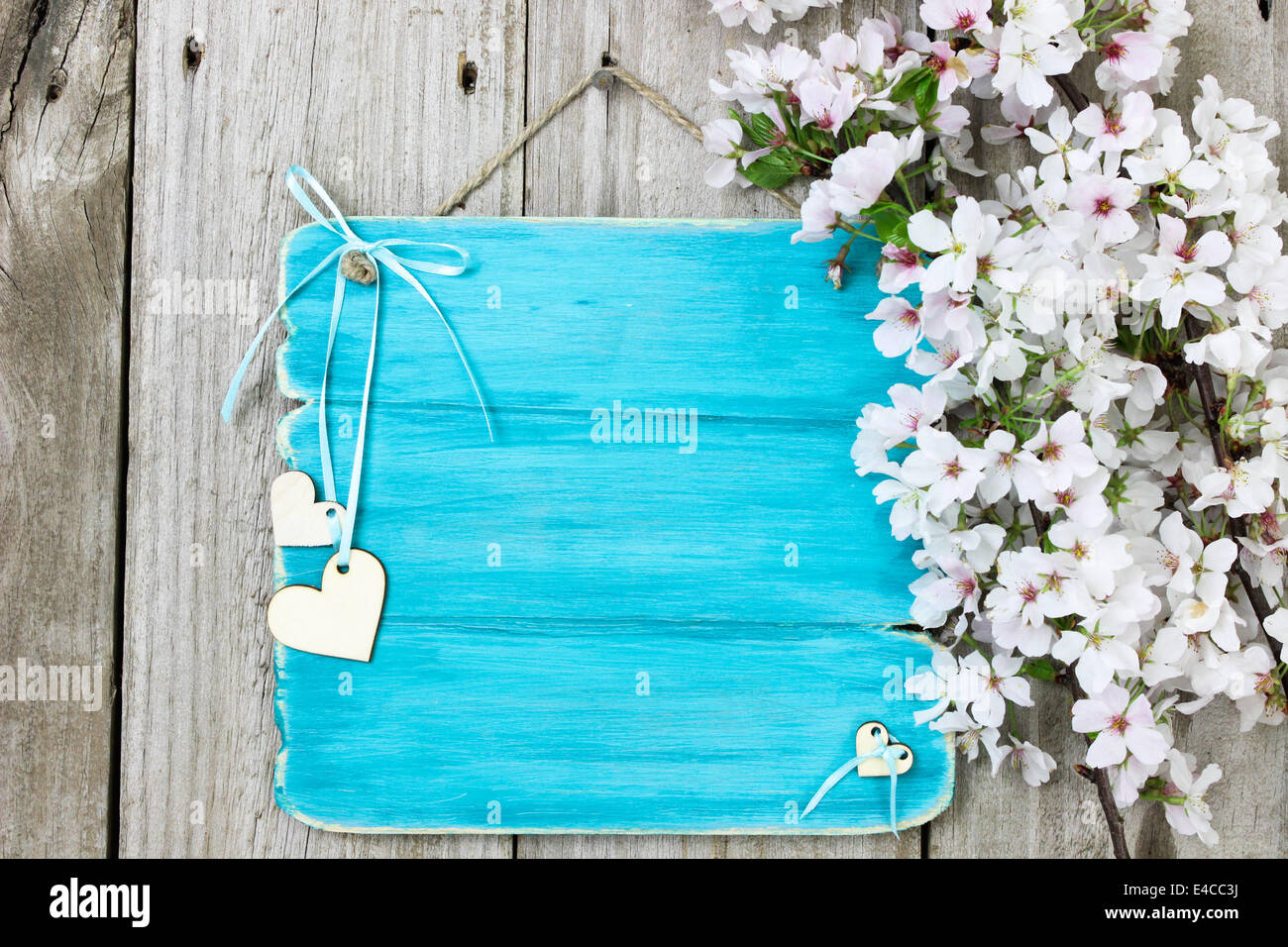 Pear Tree Sign Antique teal blue blank sign with white spring pear tree blossoms and ...