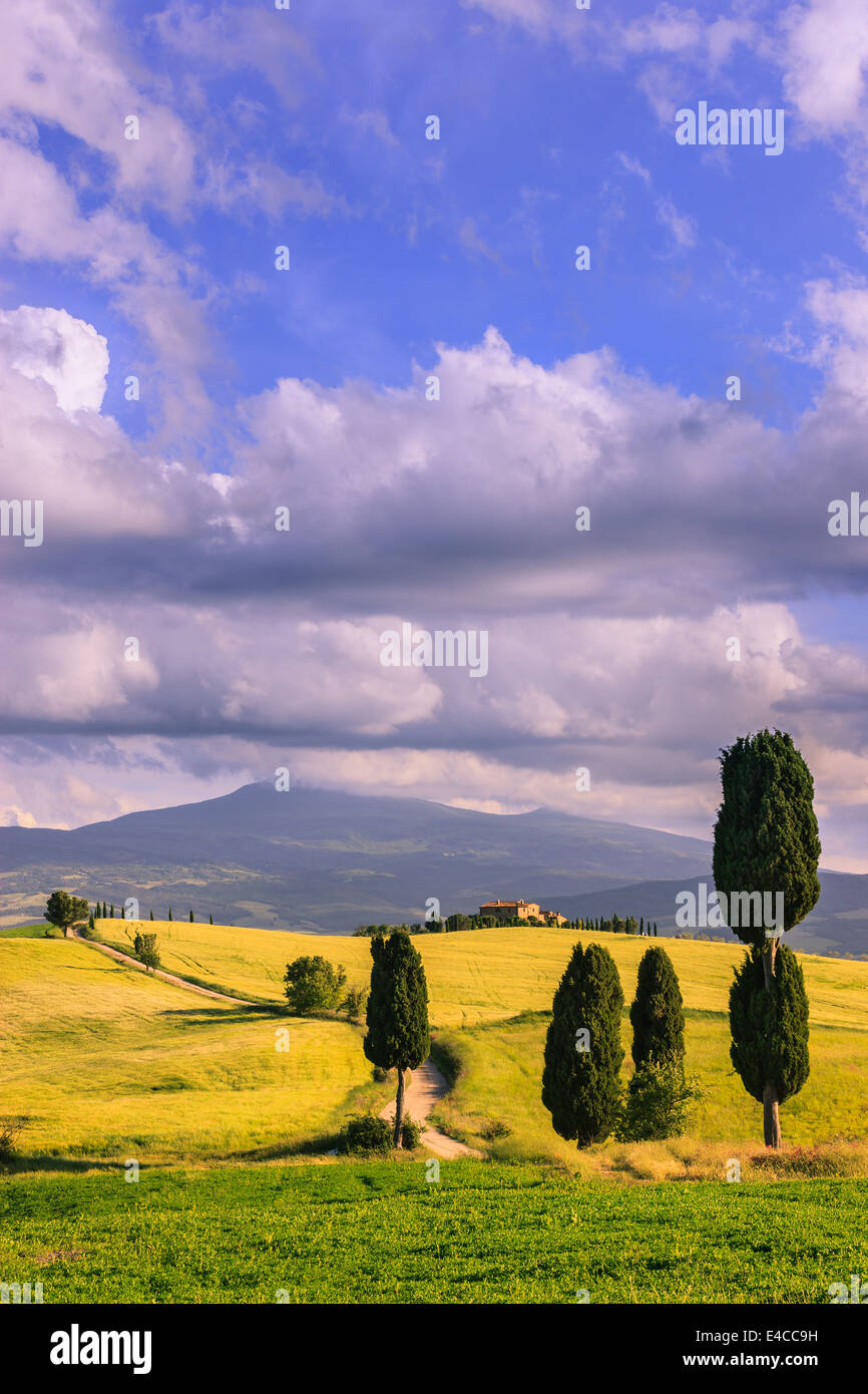 In the heart of Tuscany, in the countryside of the Val d'Orcia, close to Pienza stands Agriturismo Podere Terrapille Stock Photo