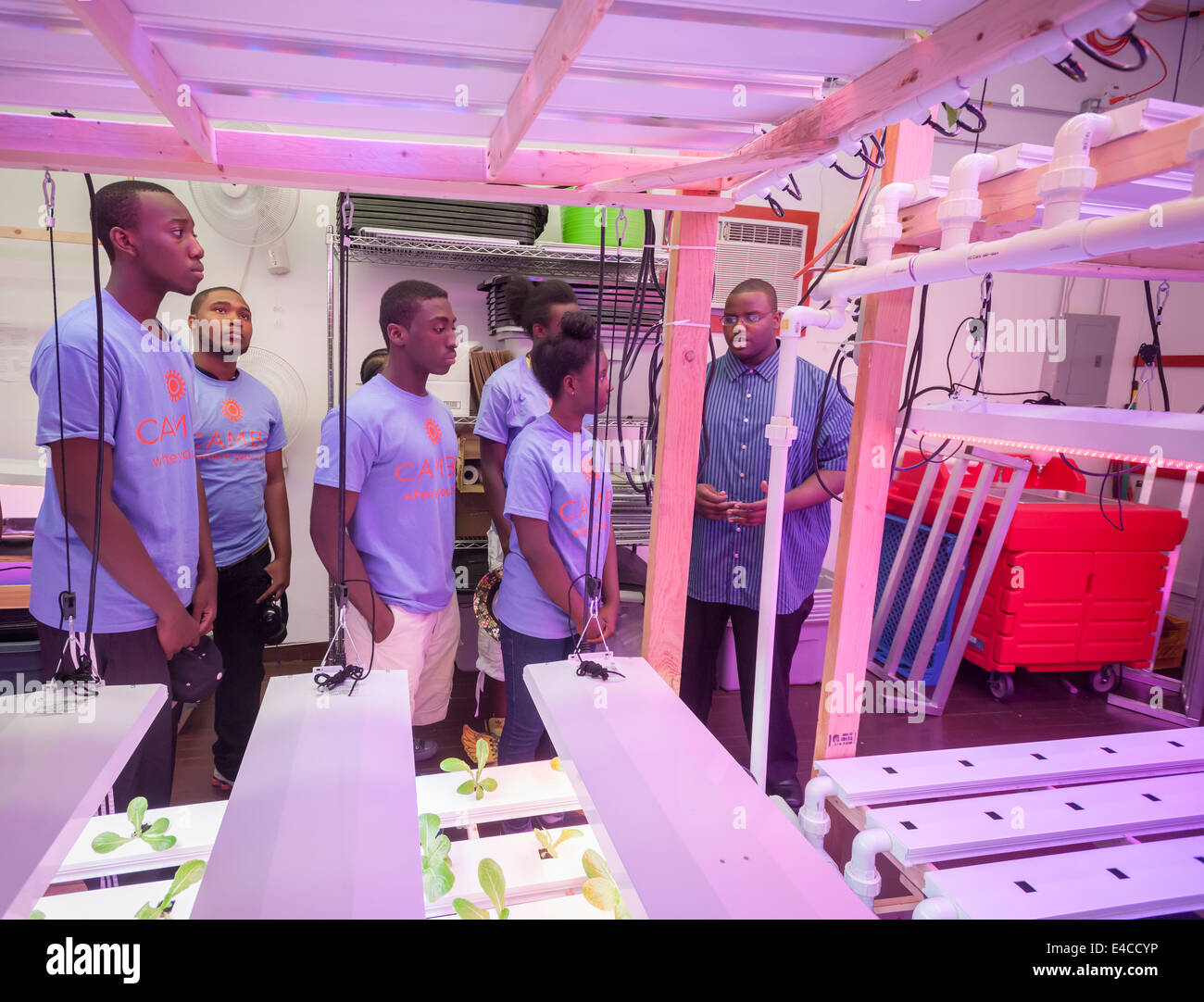 Teen participants in the Summer Youth Employment Program get acquainted with a hydroponic farm Stock Photo