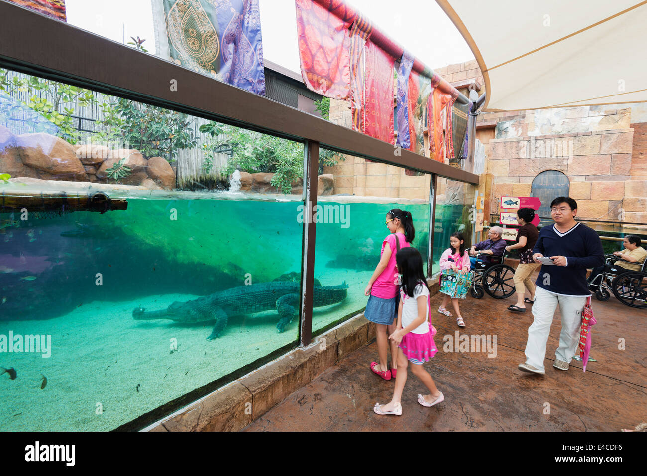 South East Asia, Singapore, Singapore zoo, River Safari, aquarium Stock ...