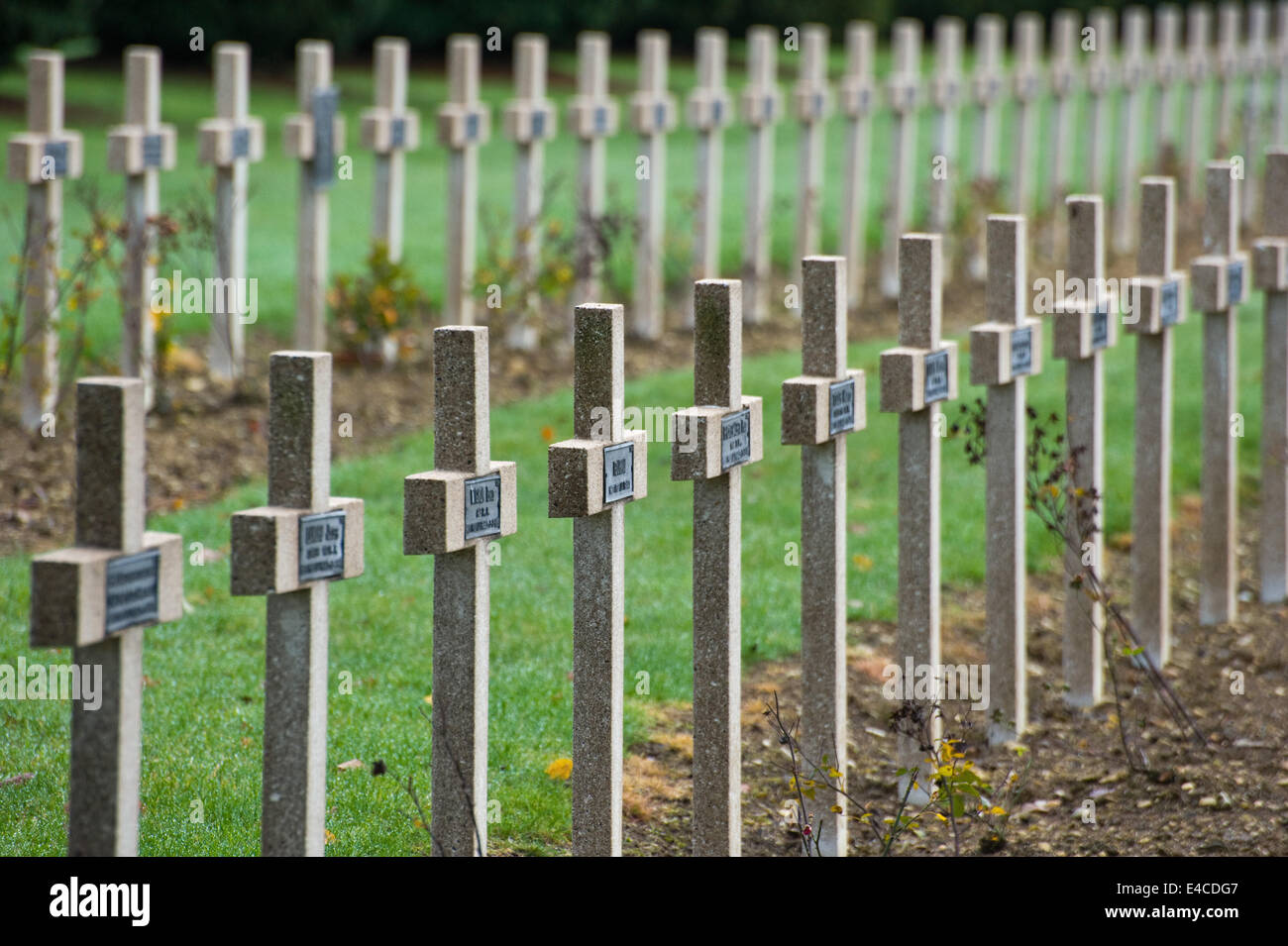 Endless crosses at the cemetery outside the Douaumont ossuary (L'ossuaire de Douaumont) built in 1932 Stock Photo