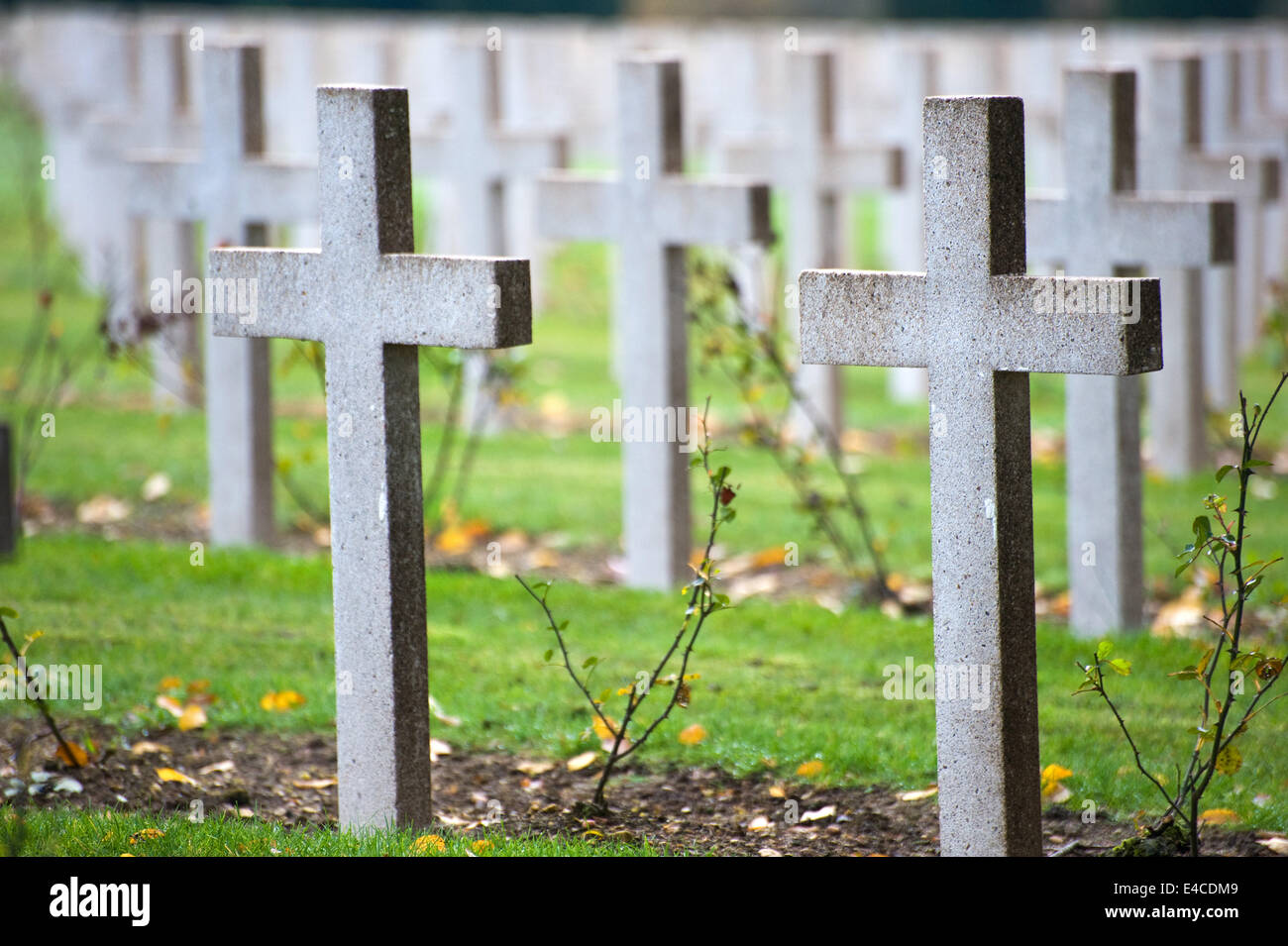 Endless crosses at the cemetery outside the Douaumont ossuary (L'ossuaire de Douaumont) built in 1932 Stock Photo
