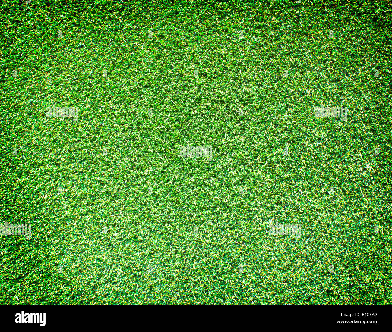Beautiful green artificial grass texture abstract background Stock ...